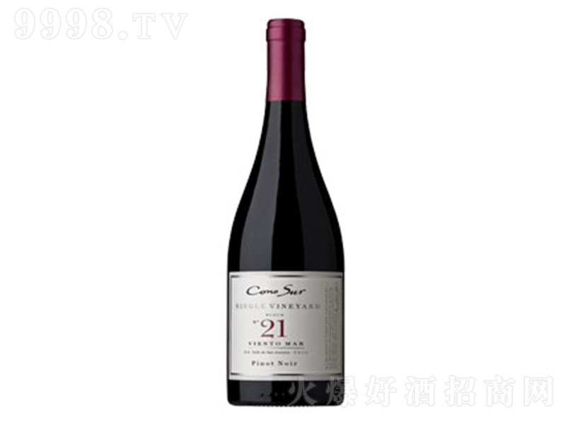 һ21^(q)ڱZtѾơ13.9 750ml